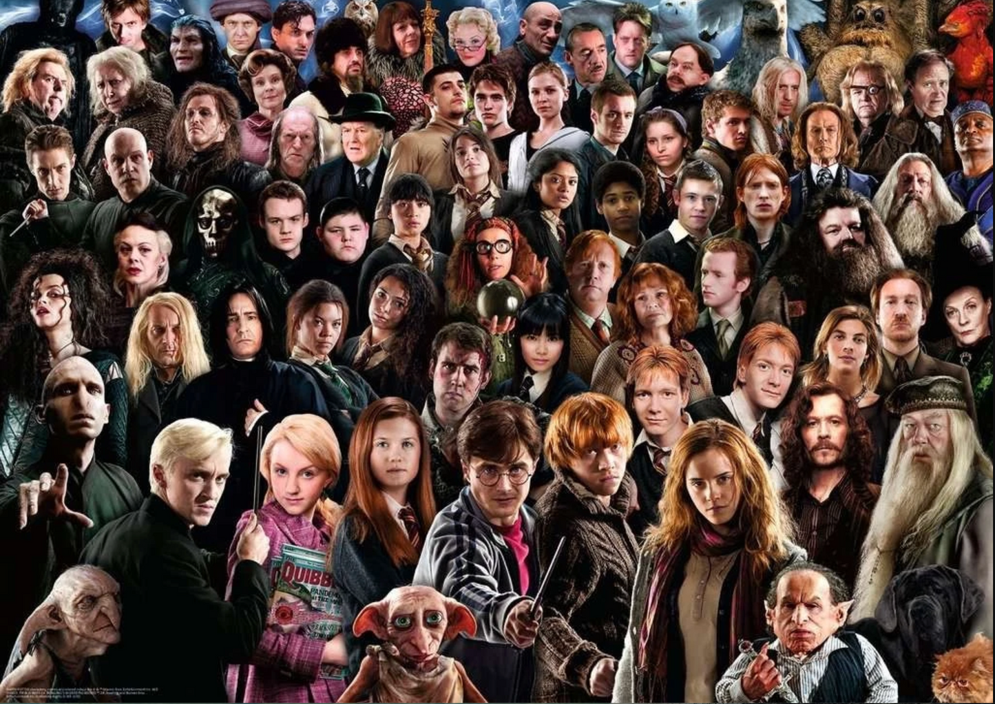 Harry Potter Jigsaw Puzzles (1000 Pieces)