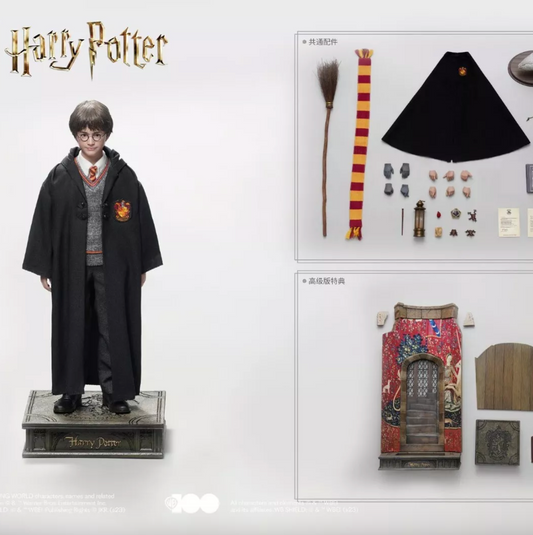 Harry Potter Action Figure (Collectors Edition)