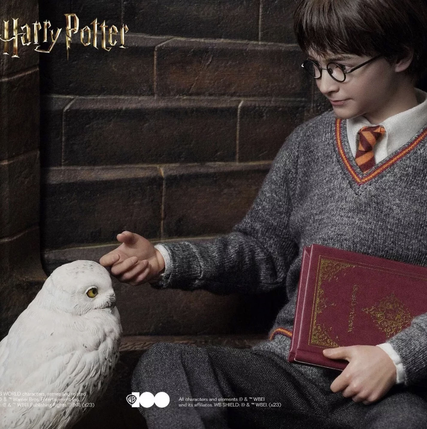 Harry Potter Action Figure (Collectors Edition)